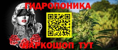 индика Краснознаменск