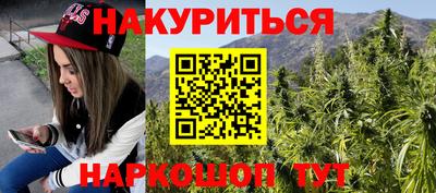 индика Краснознаменск