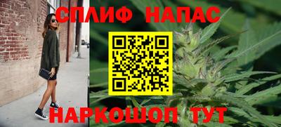 индика Краснознаменск