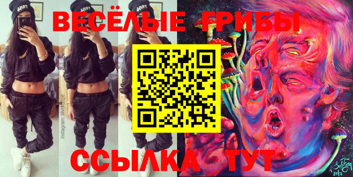 Галлюциногенные грибы GOLDEN TEACHER  Псилоцибиновые грибы прущие грибы  Вход с VPN  Елец 