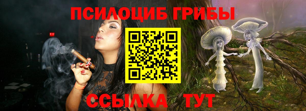 Псилоцибиновые грибы GOLDEN TEACHER Елец